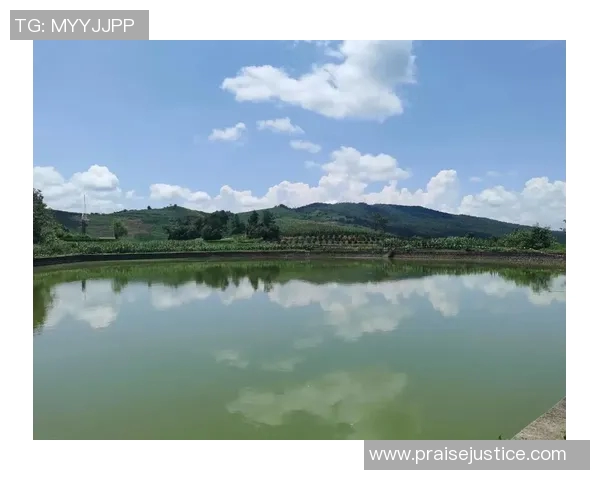 林聚：探寻自然与人文交融的和谐美景与生活方式